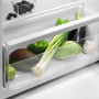 Zanussi ZEAN11EW0 tafelmodel koelkast met vriesvak