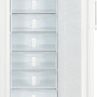 Afbeelding van de binnenkant van de Liebherr G3513 vrieskast wit