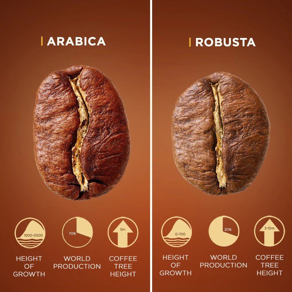 Wat is het verschil tussen Robusta en Arabica koffiebonen?